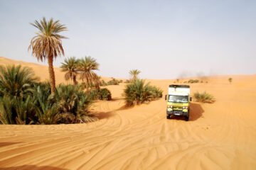 RALLYE OILYBIA 2010  : UN RALLYE 100% TUNISIEN SUR  6 JOURS DE COURSE…