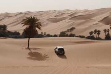 RALLYE OILIBYA DE TUNISIE 2010 : UN NOUVEAU SOUFFLE…