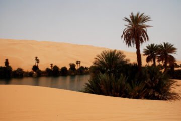 RALLYE OILYBIA DU MAROC : BMW X-RAID ALIGNERA CINQ VOITURES