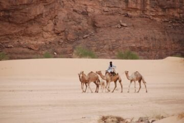 AFRICA ECO RACE 2011 : ETAPE 3. LE JOUR DE SCHLESSER