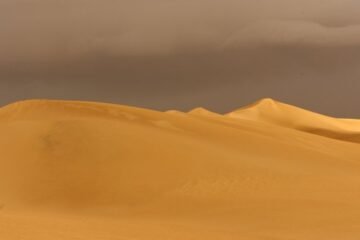 AFRICA RACE 2011 – ETAPE 6 : SCHLESSER EN CHASSE