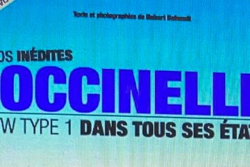  VW COCCINELLE TYPE 1 DANS TOUS SES ETATS