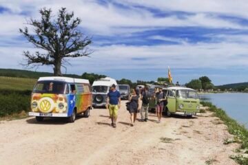 RASSEMBLEMENT DES COMBIS VW EN FRANCE À CHERIZET