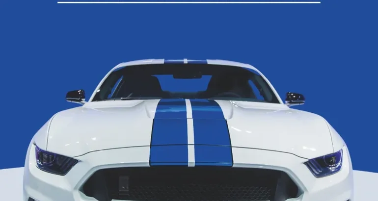 LIVRE. SHELBY, LA PERFORMANCE SAUCE AMÉRICAINE